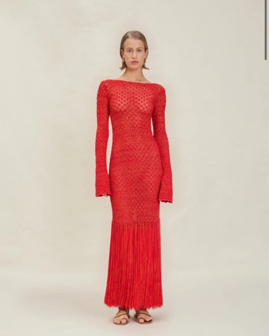 Devon Windsor Fringe Dress  - Image 1