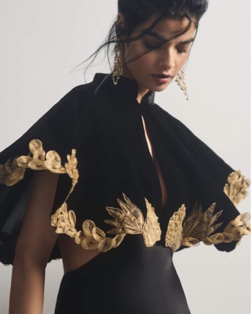 Velvet and Gold Capelet - Image 1