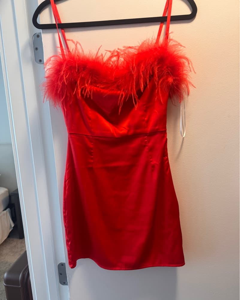 Red Feather Mini Dress - Image 1