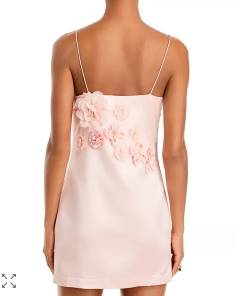 Loveshackfancy Pink Mensa Dress  - Image 2