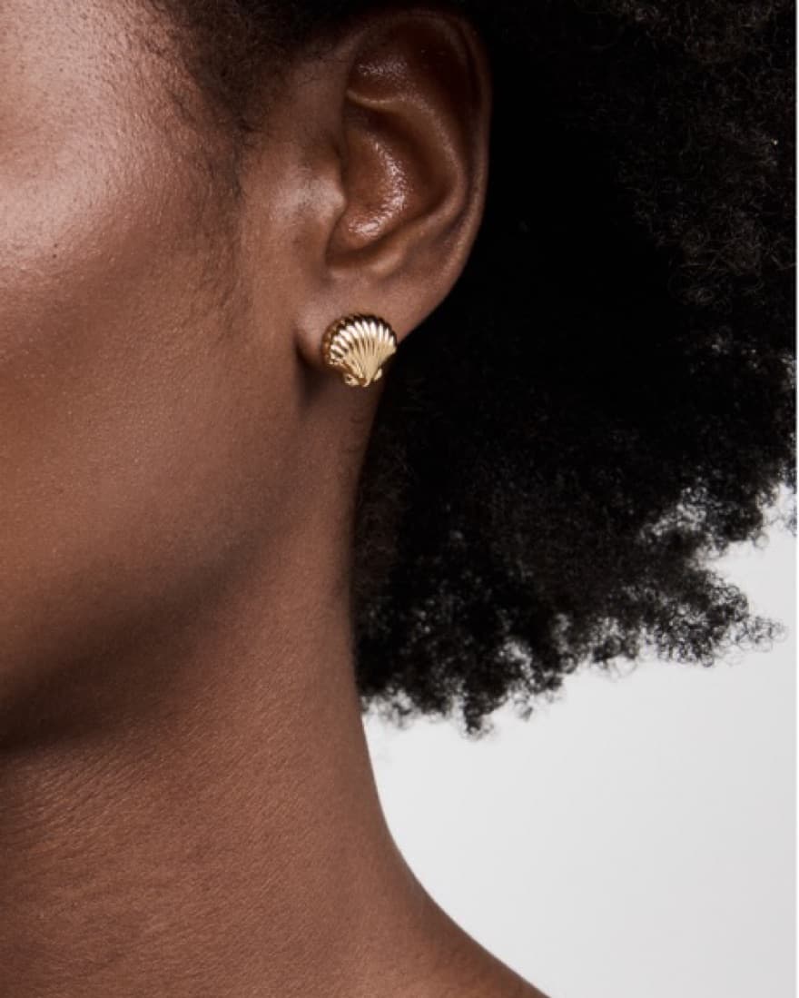 Seashell Earings  - Image 1