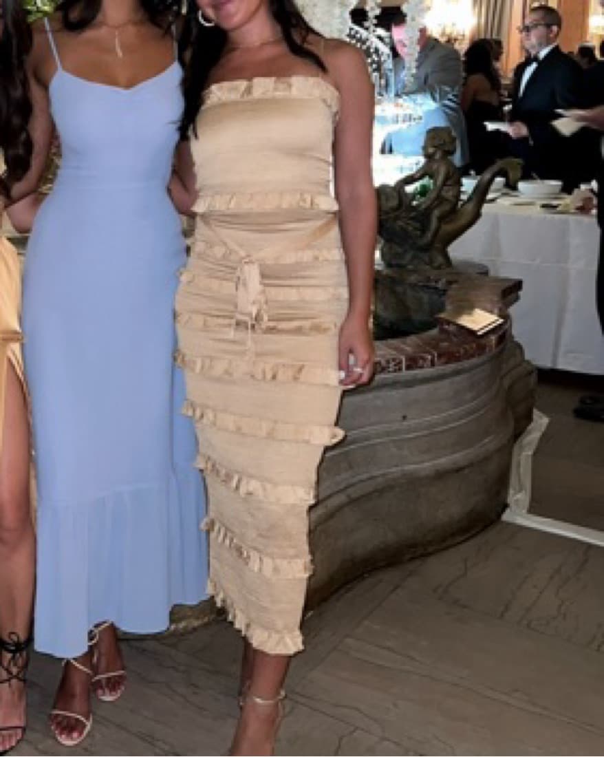 V. Chapman Lily Dress In Warm Sand - Image 4