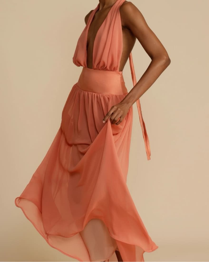 Arcina Ori Serena Dress NWT - Image 3