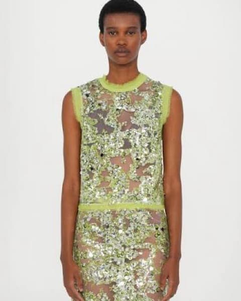 Baum Und Pferdgarten Sheer Sequin Top - Image 1