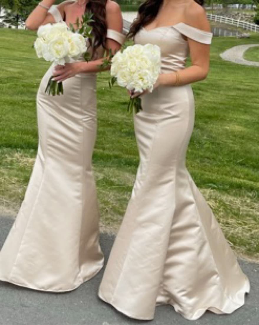 Bill Levkoff Evening Gown - Image 3