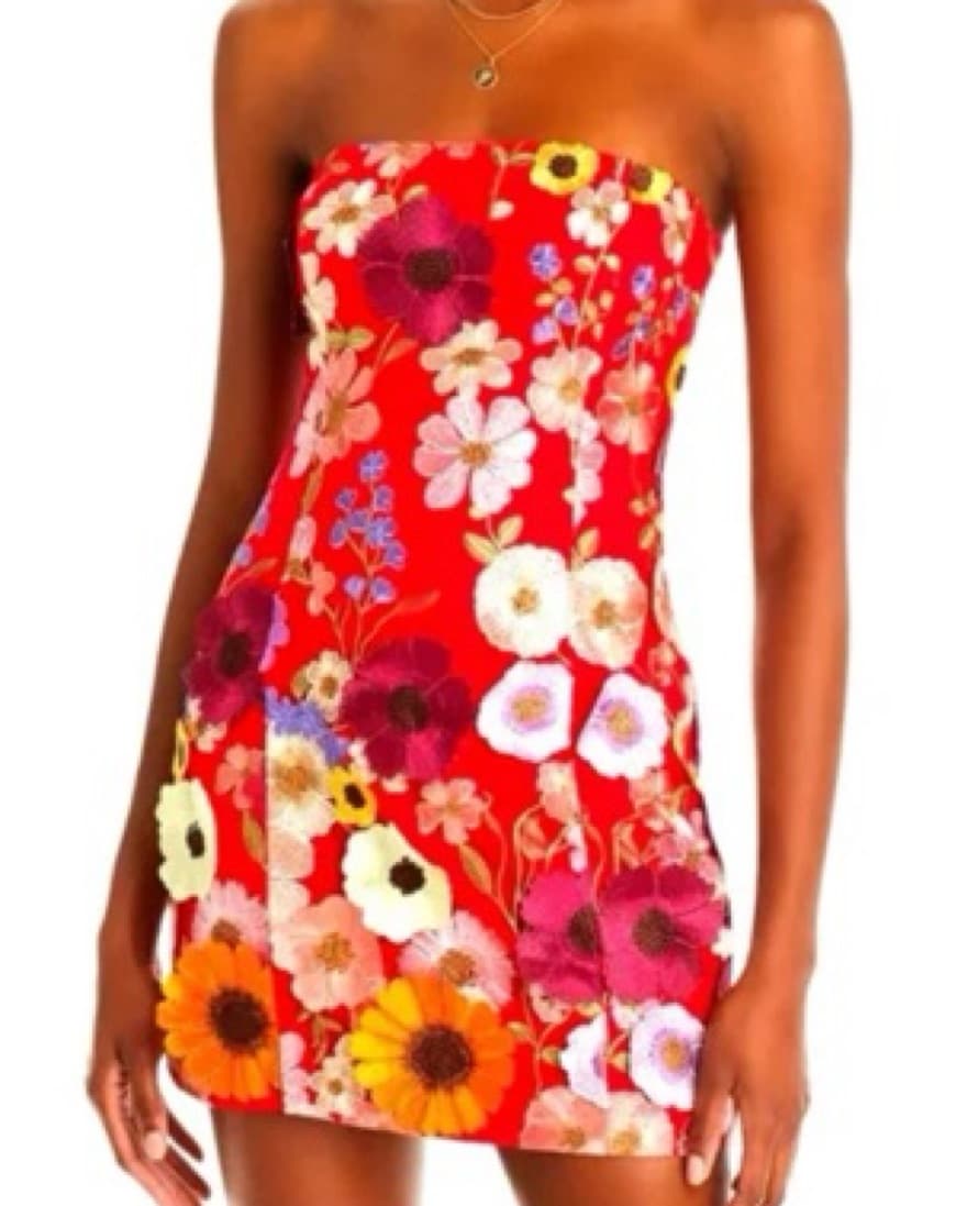 Anthropology  Endless Rose Dressflower - Image 1