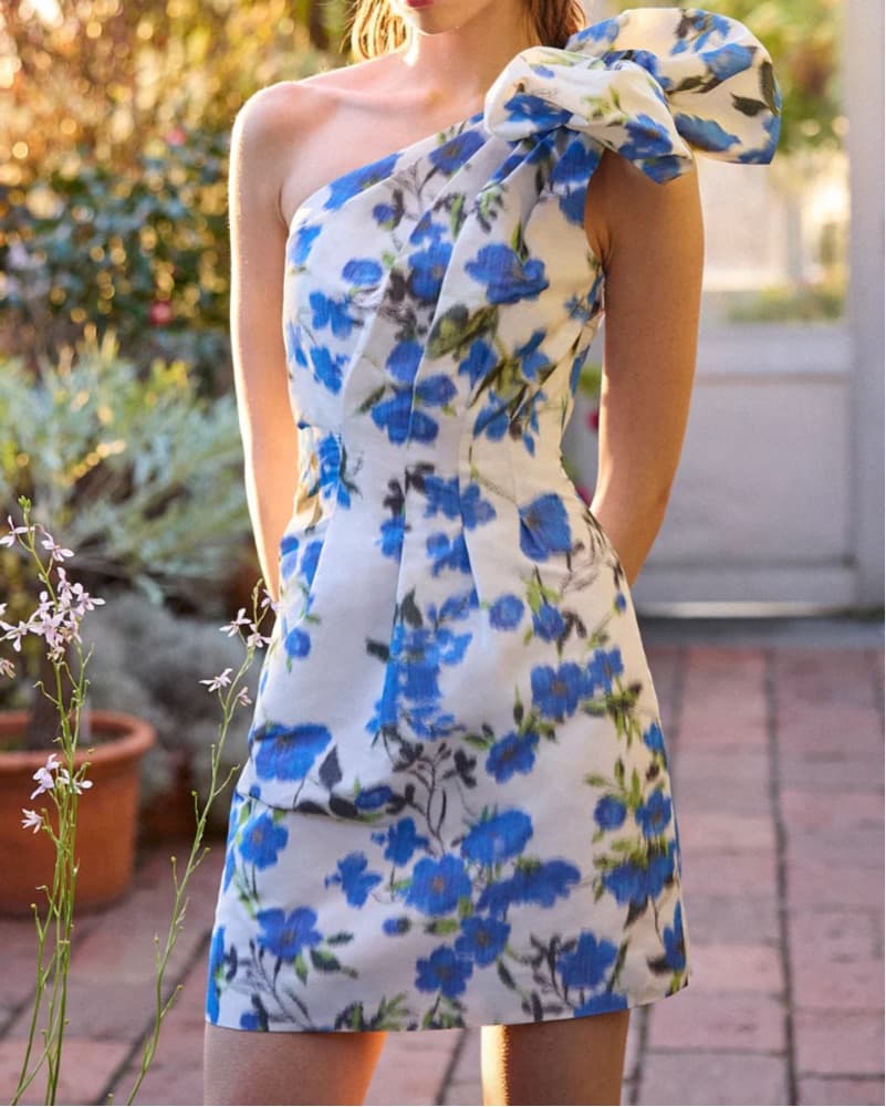 Delphine Mindy Dress - Image 3