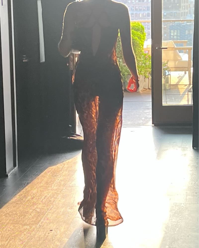 Sheer Leopard Print Maxi Dress - Image 3