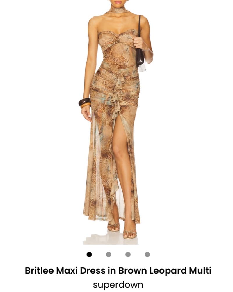 Animal Print Maxi Dress - Image 2