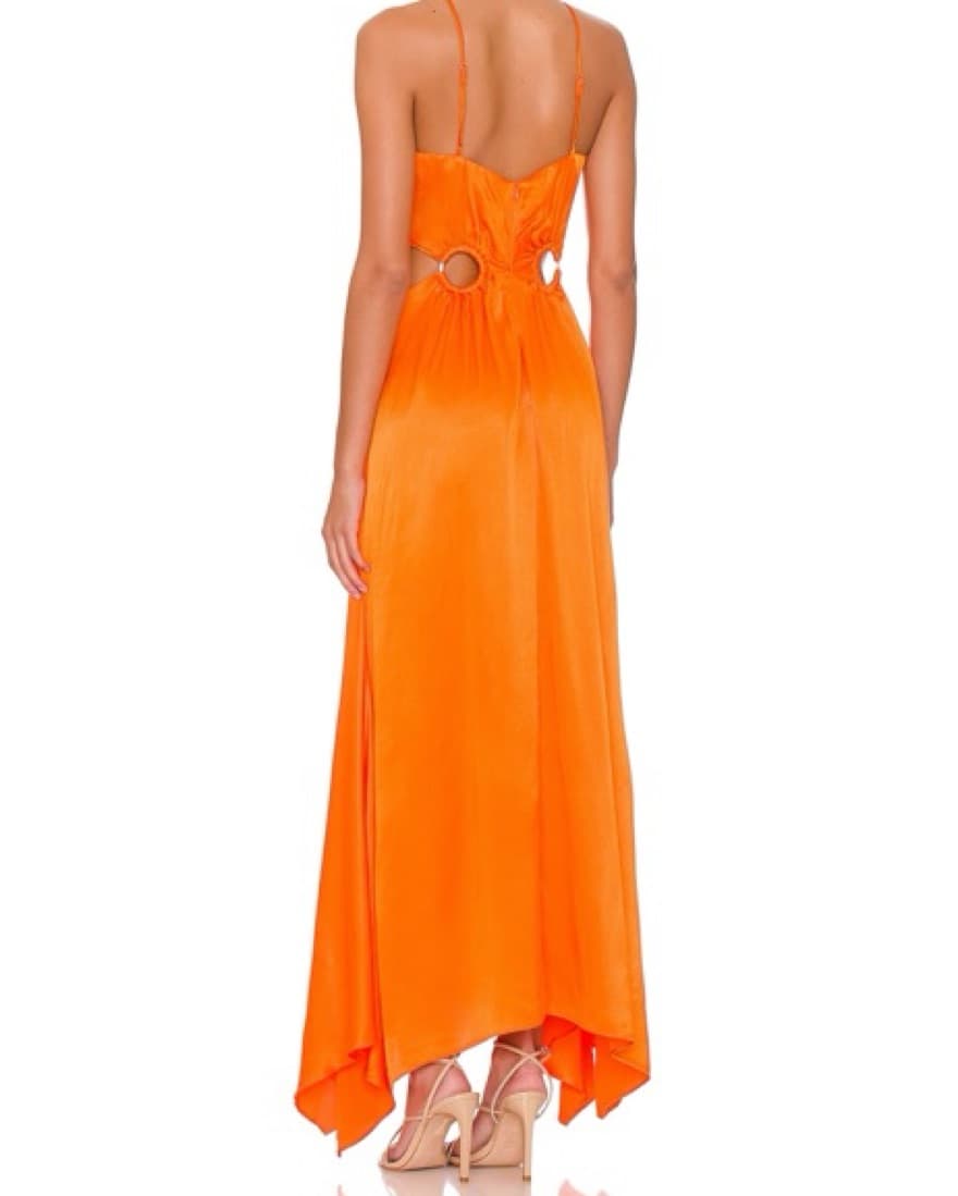 Visitant Maxi Dress - Image 1