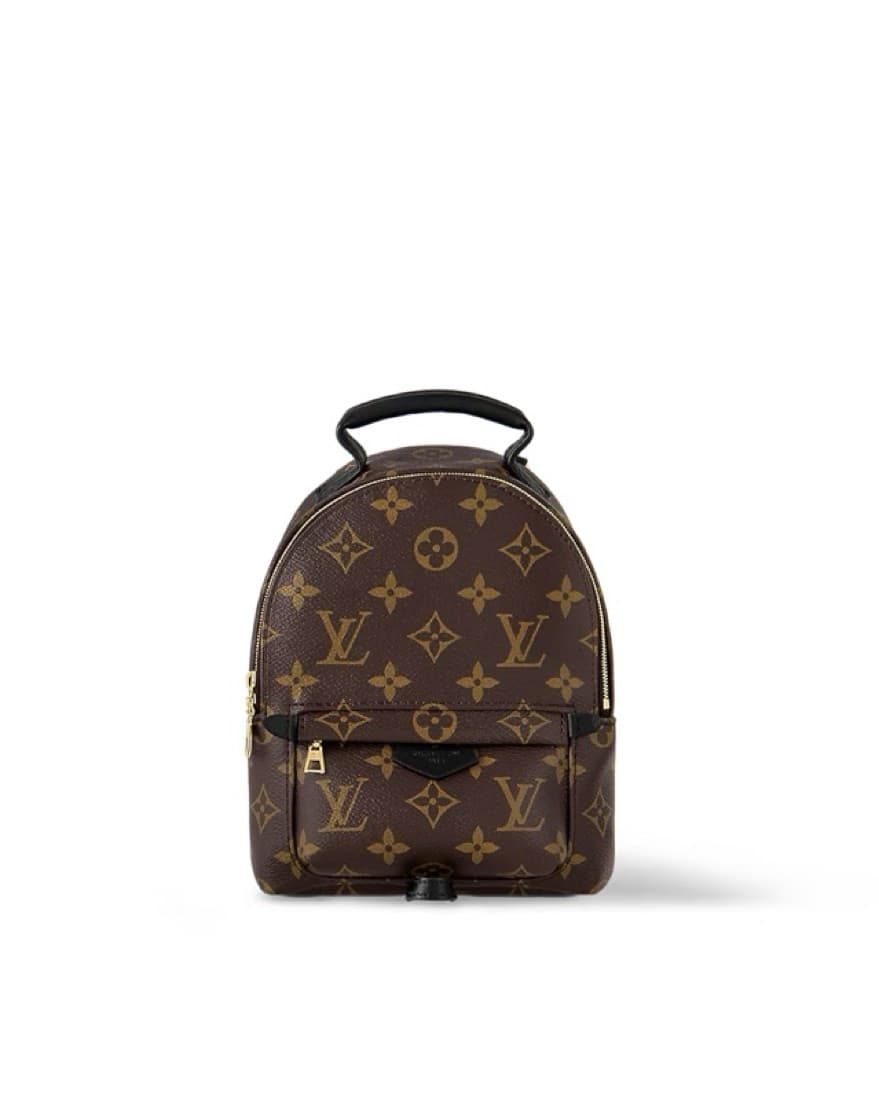 Louis Vuitton Palm Springs Mini Backpack - Image 1