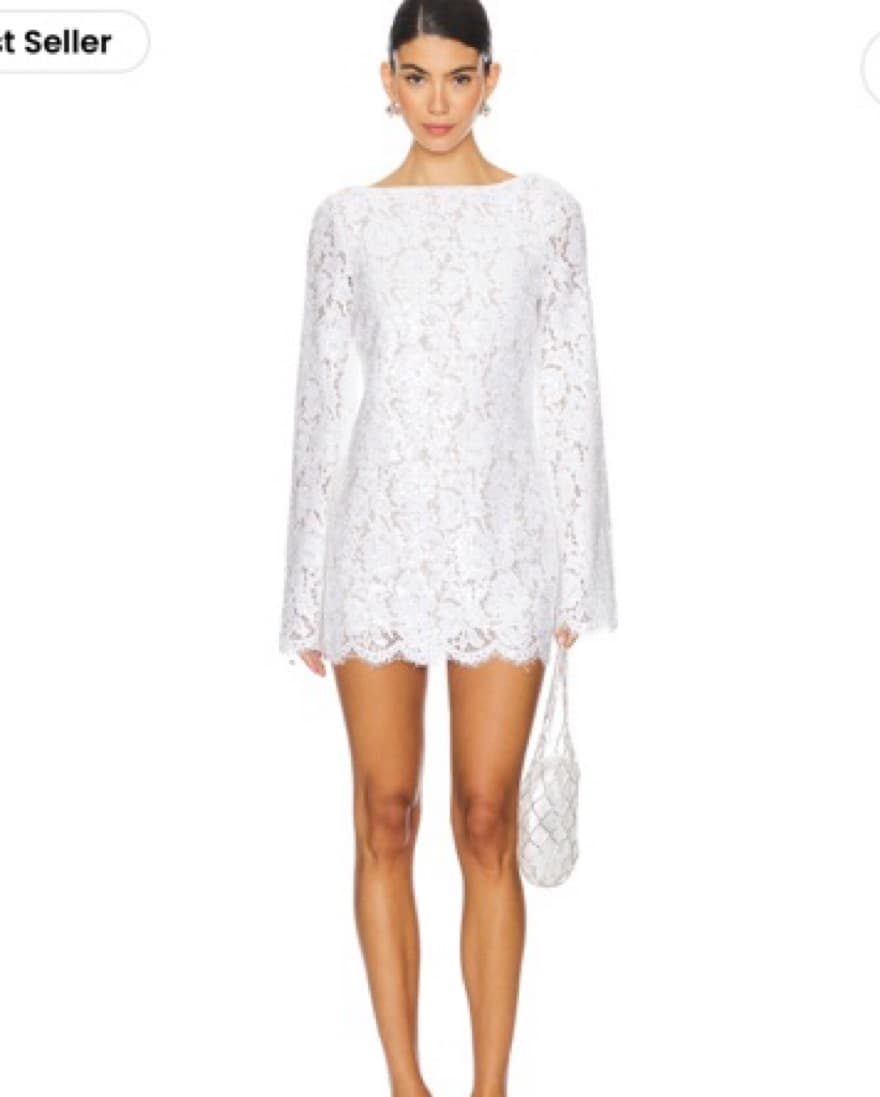 Lovers & Friends Mini Dress  - Image 1