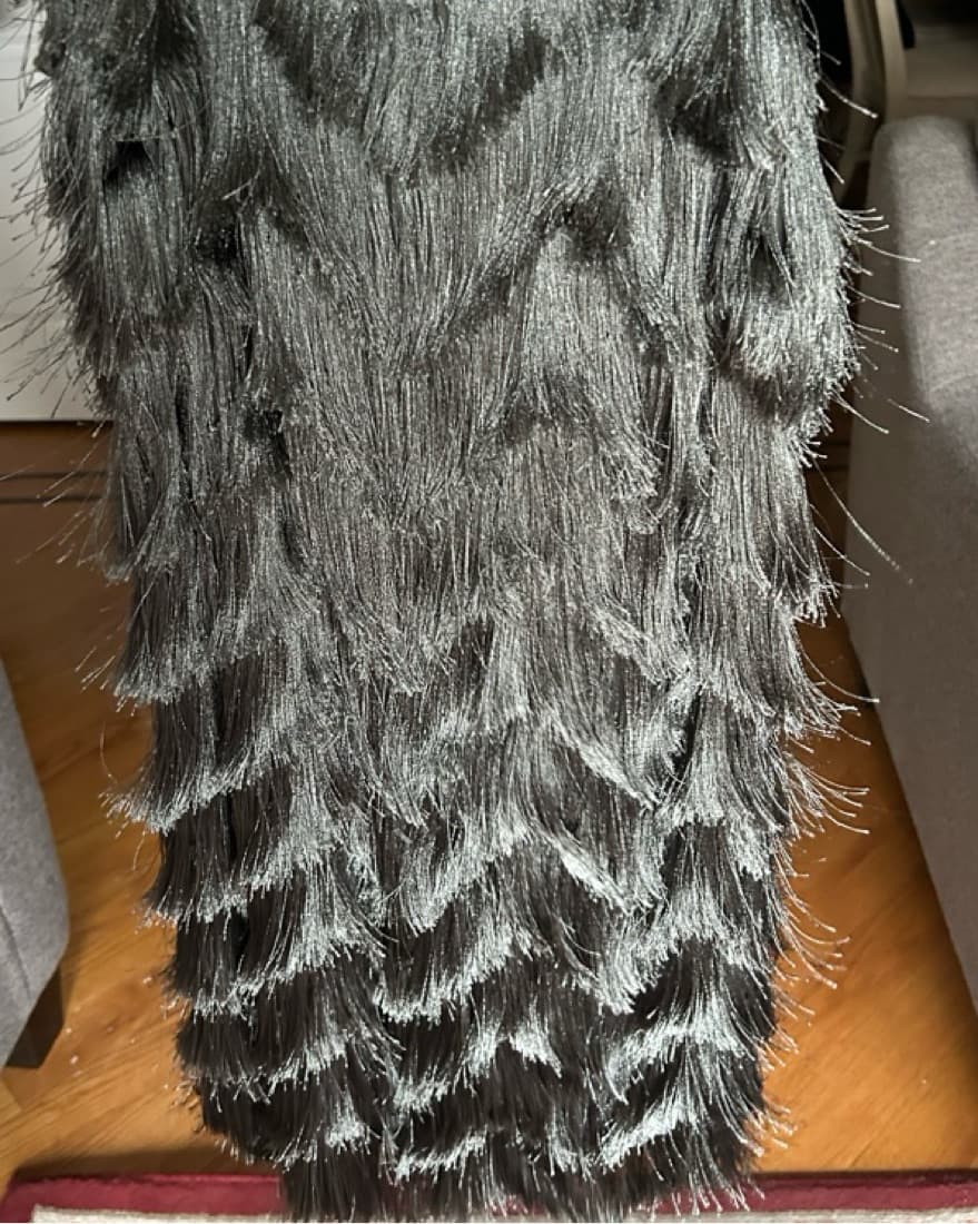 Sleek and Sophisticated Fringe Dress - Image 5