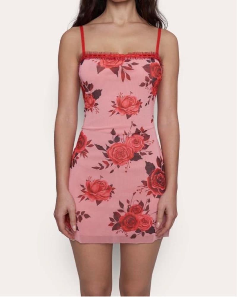 Danielle Guizio Dress - Image 1