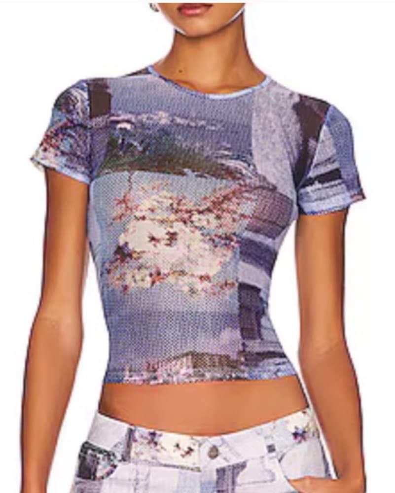 Miaou Sheer Top - Image 1