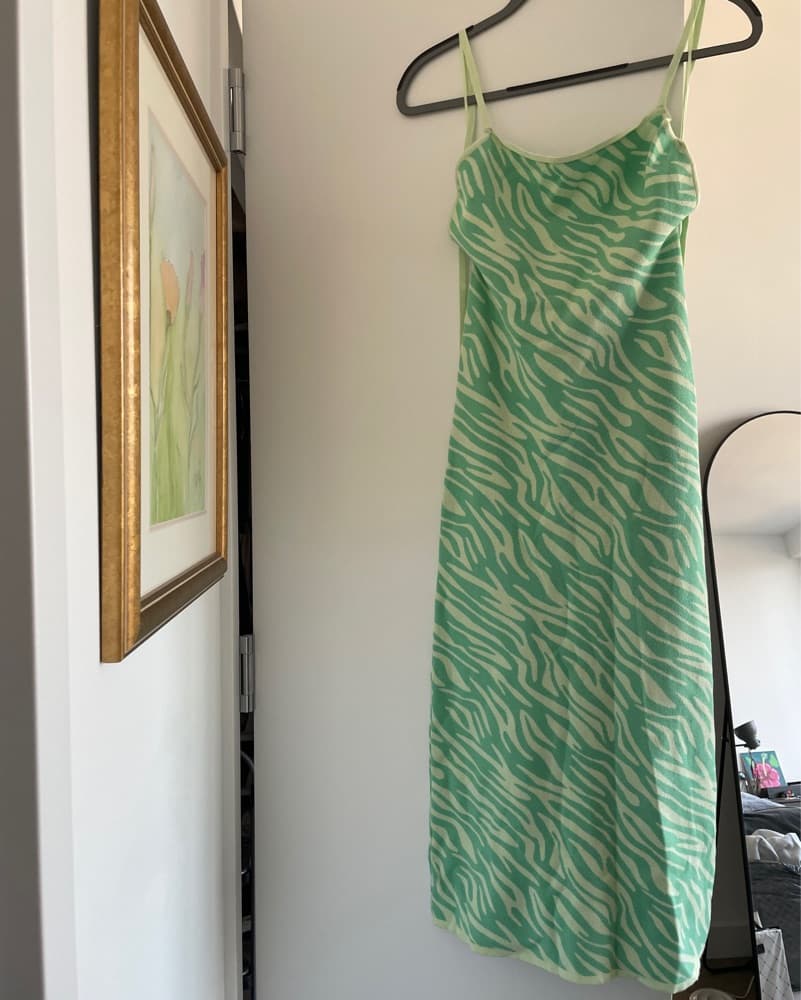 Mint Zebra Print Midi Dress - Image 3