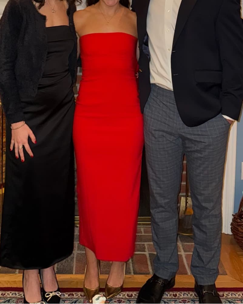 Red Strapless Zara Dress - Image 1