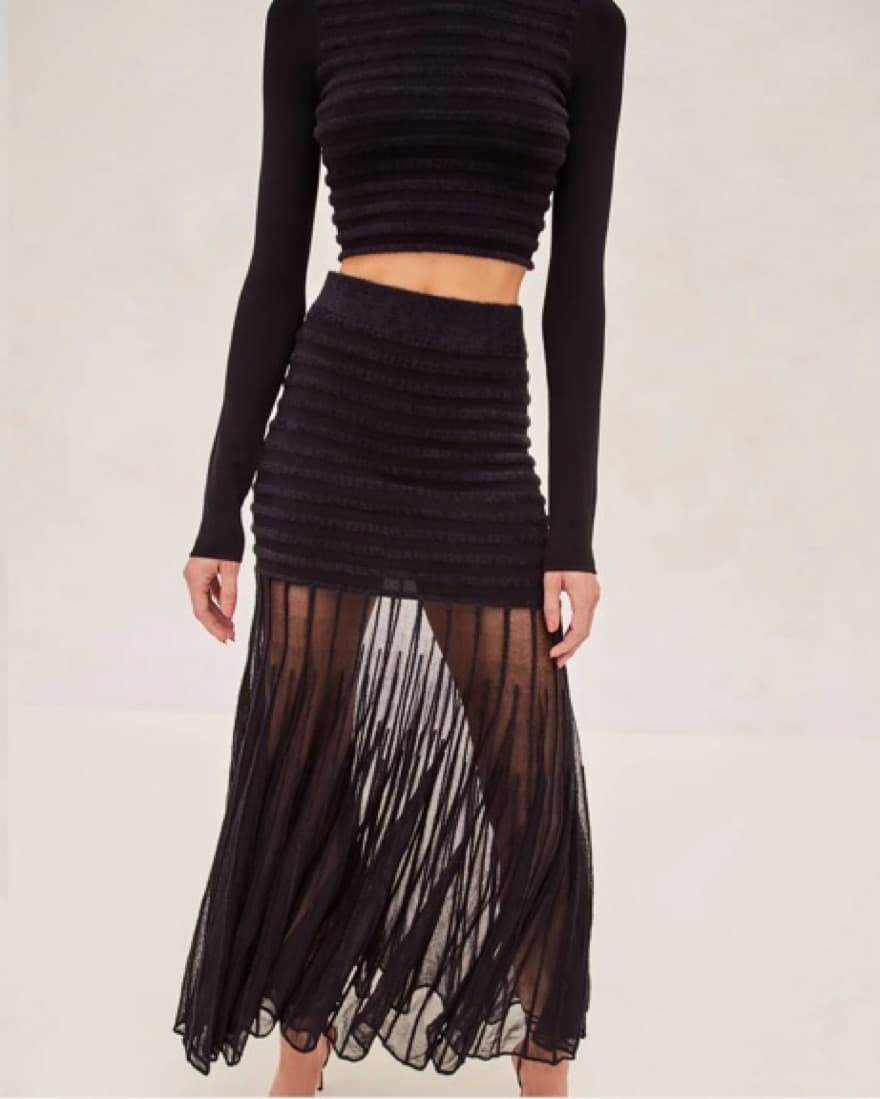 Alexis Franki Skirt - Midi Mesh Black  - Image 4