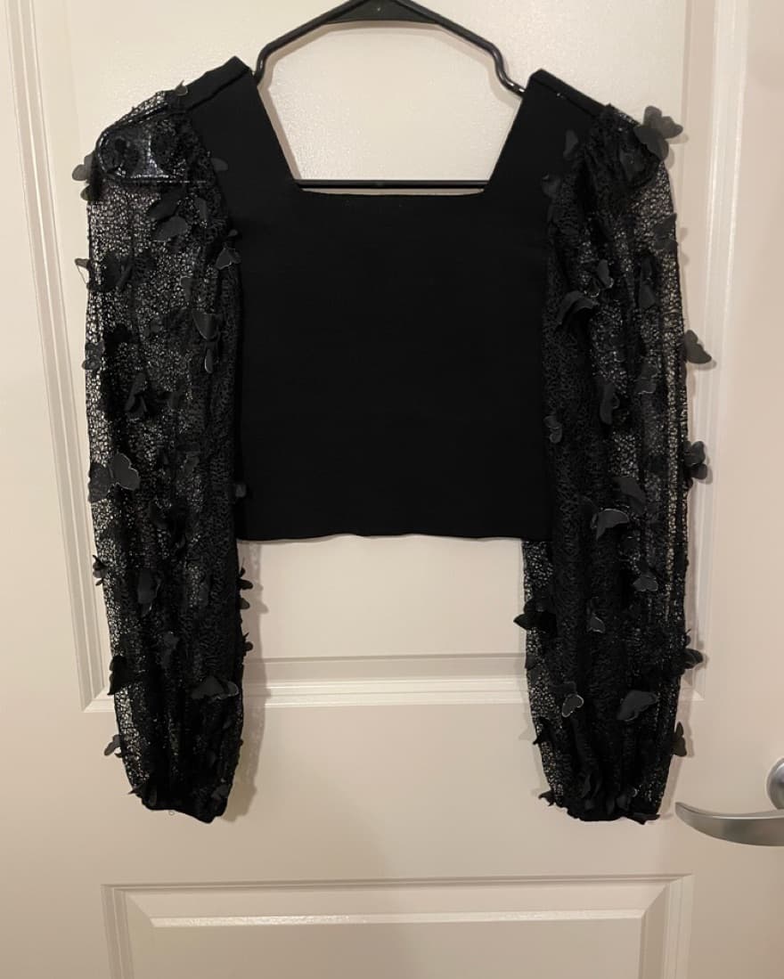 Cropped Black Top With Sheer Sleeves - Image 3