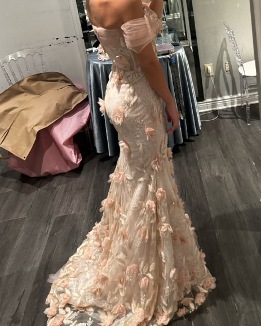 Custom Gown  - Image 3