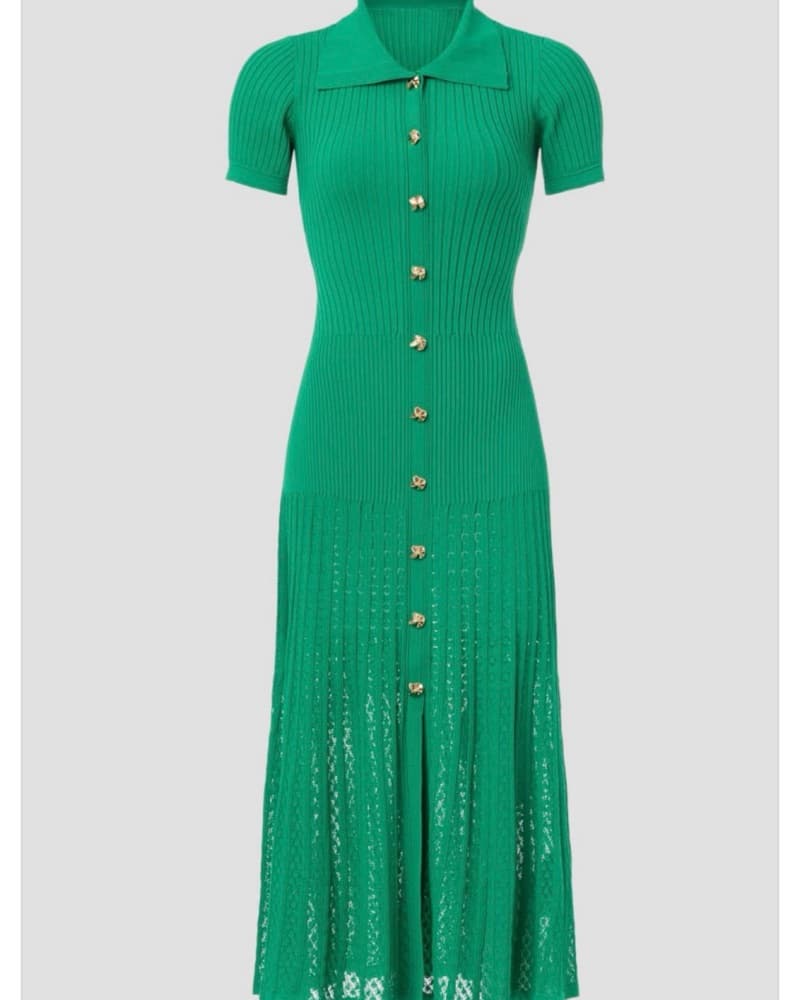Sandro Midi dress - Image 1