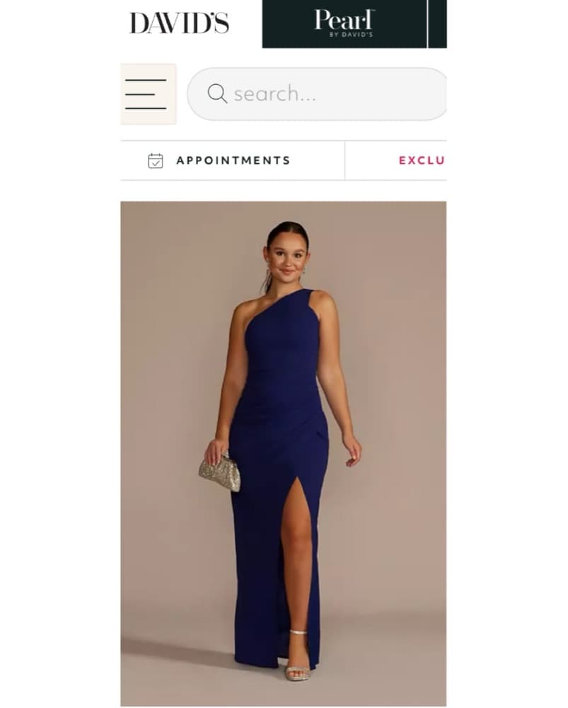 David’s Bridal Navy Blue Velvet One-Shoulder Gown - Image 1