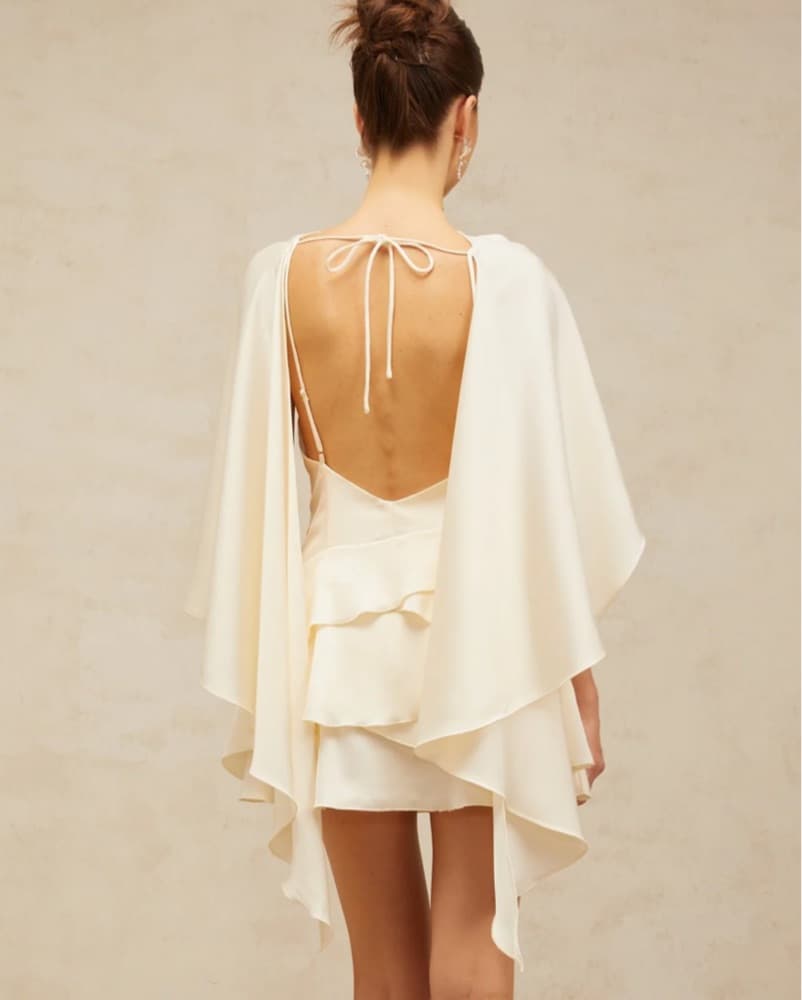Revolve Backless Mini Dress - Image 3