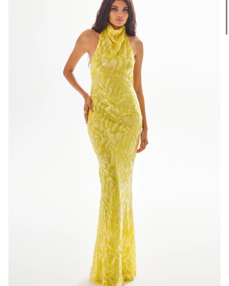 Raisa Vanessa Yellow Gown (with Tags)  - Image 1