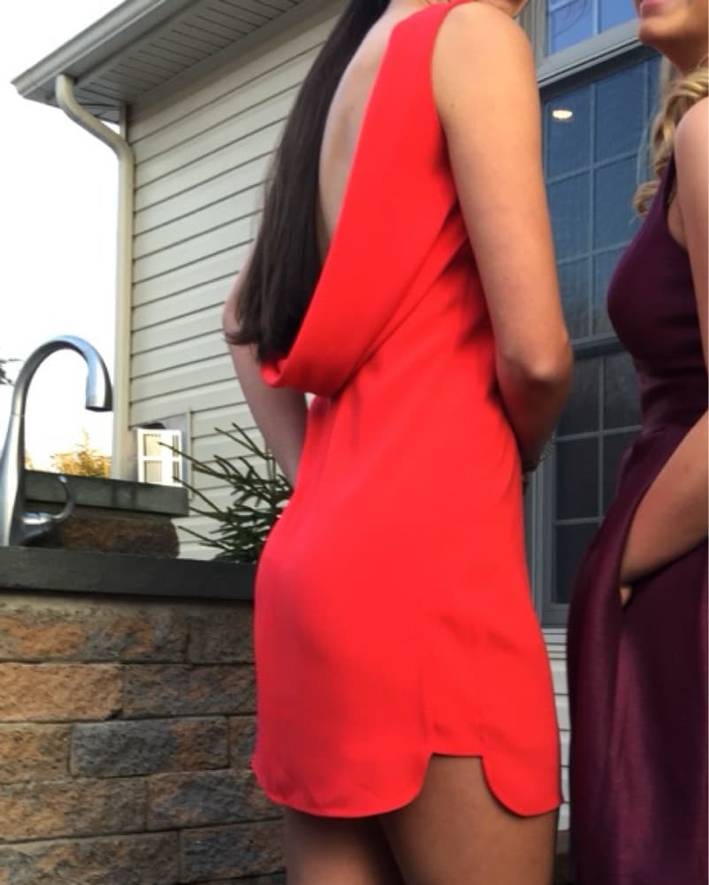 BCBGMAXAZRIA Ellie Cocktail Dress - Image 4