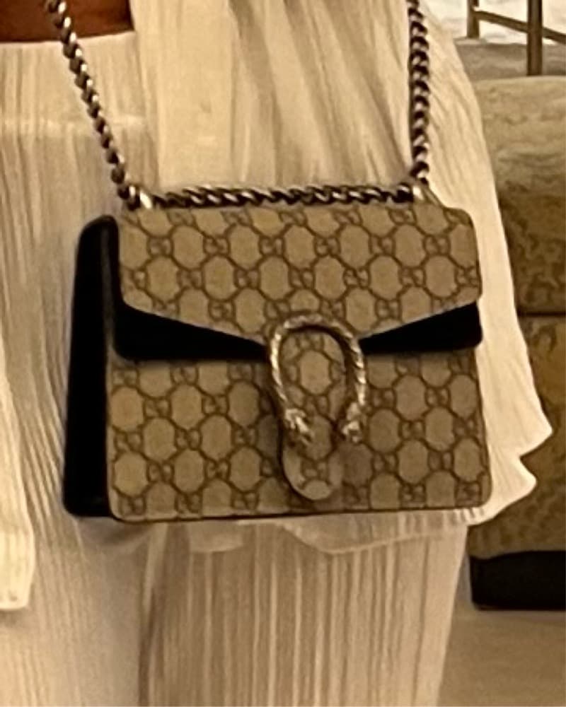 Gucci Dionysus GG Supreme Canvas - Image 2