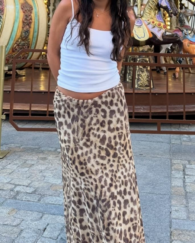 Zara Cheetah Print Maxi - Image 3