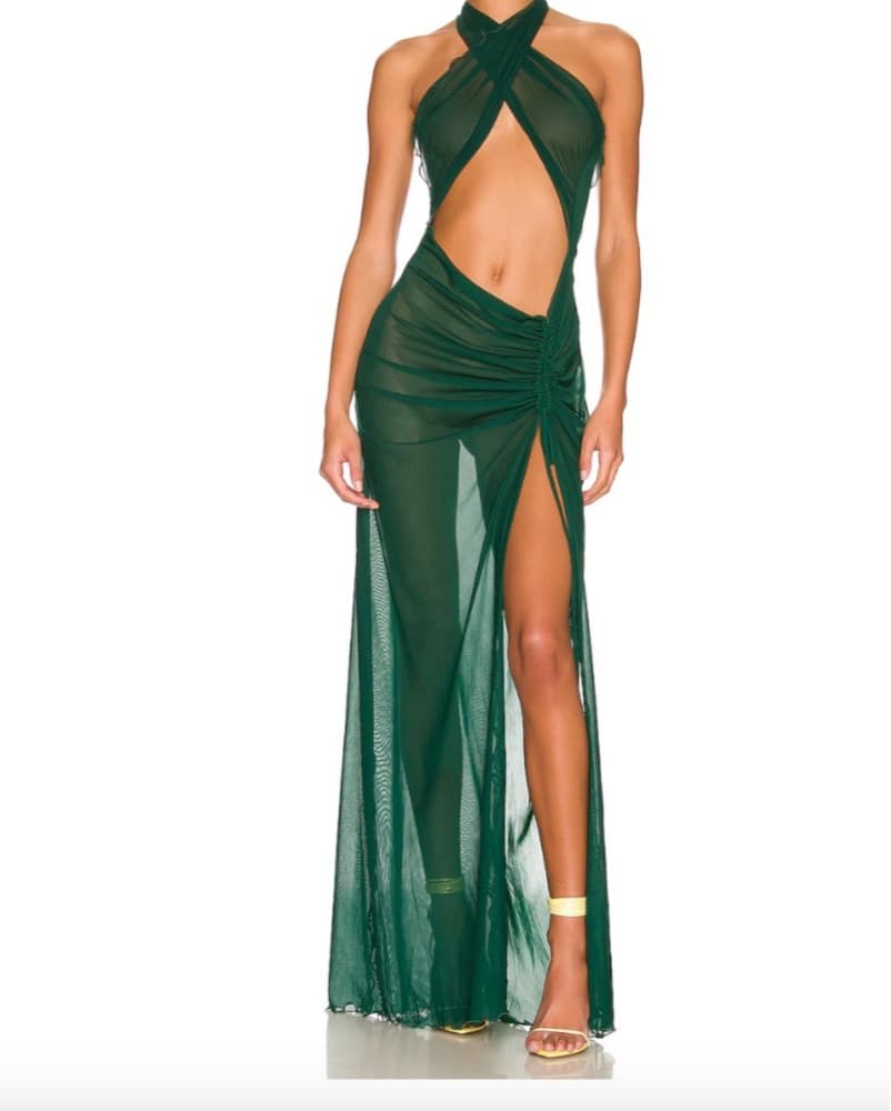 Kim Shui Mesh Gown  - Image 1
