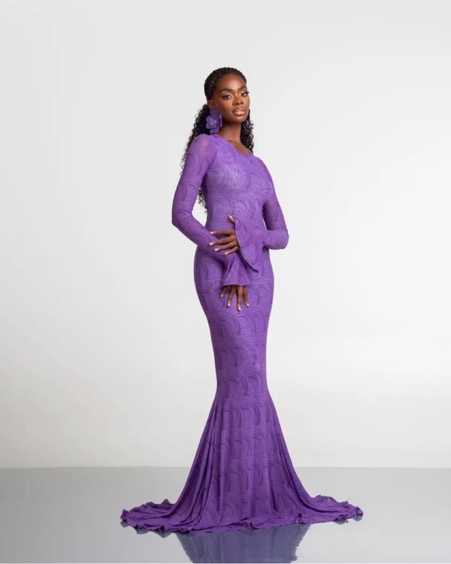 Ofuure Mesh Dress - Image 3