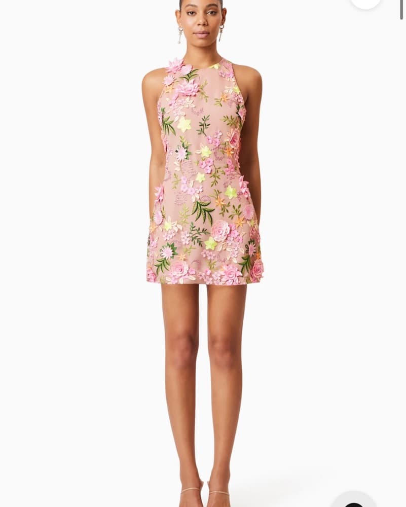 Elliatt Embroidered Flower Dress - Image 1