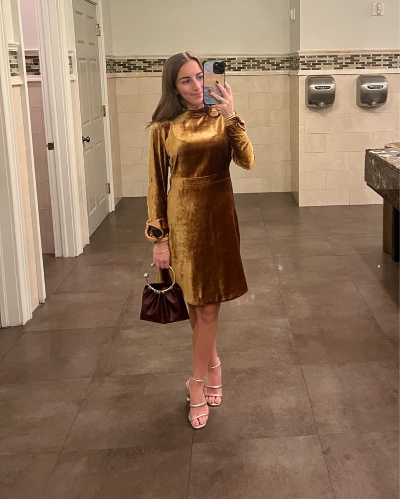 A.L.C gold/burnt Orange Velvet - Image 2