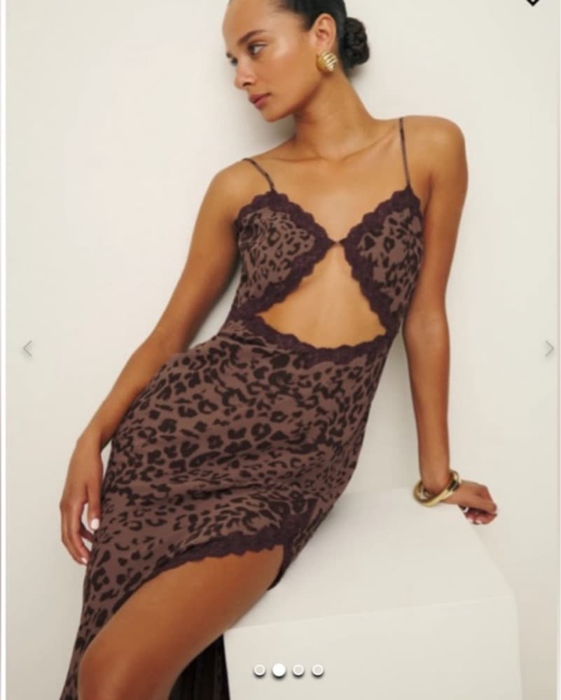 Reformation Brown Cheetah Dress - Image 2