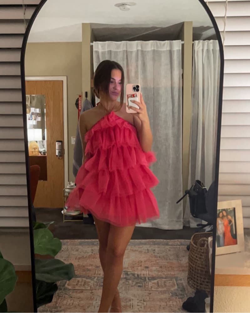 NWT Boutique Tulle Mini Dress - Image 1