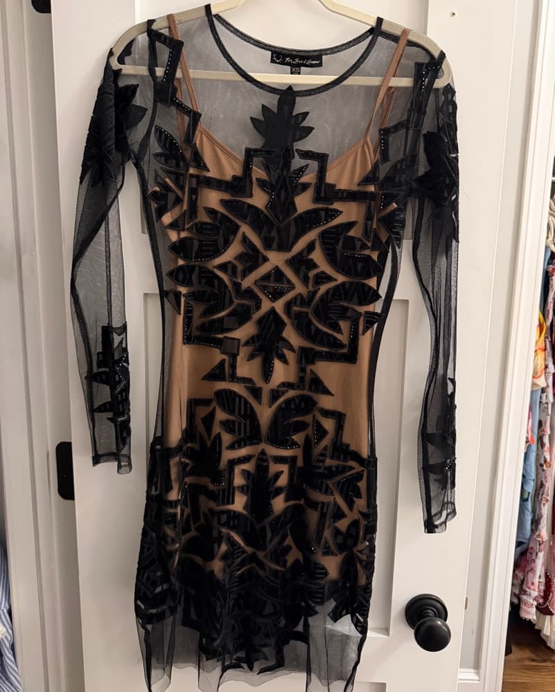 For Love And Lemons Illusion Dress - Image 2