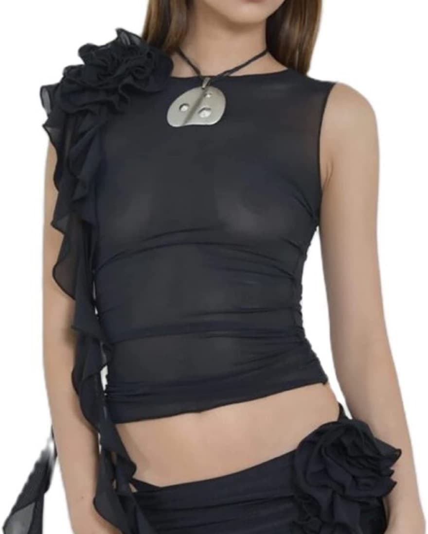 Fanci Club Sheer Top  - Image 5