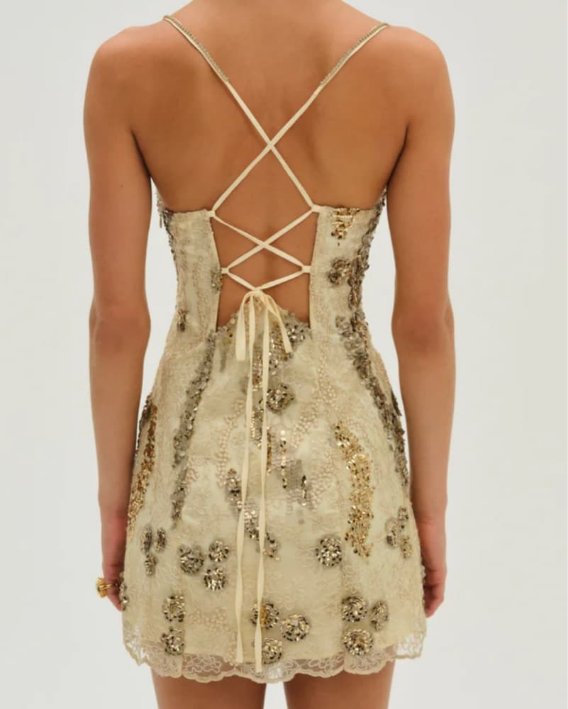 For Love & Lemons Mini Dress - Image 2