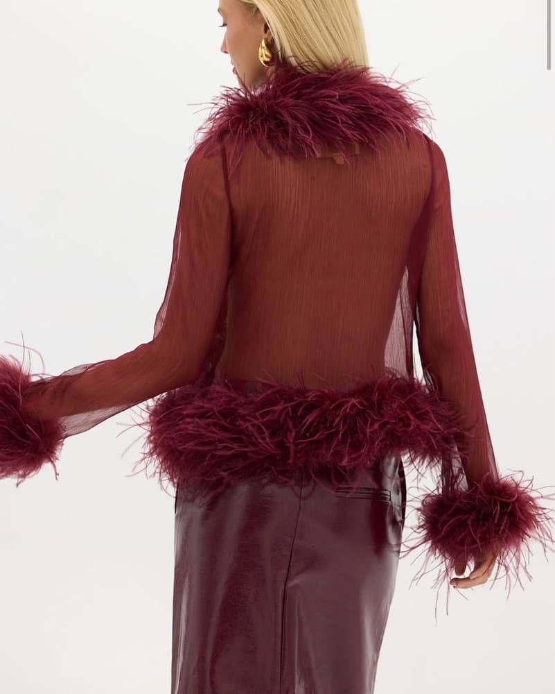Gigi Sheer Feather Blouse - Image 2