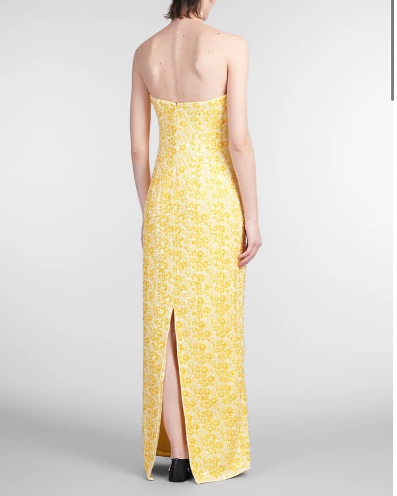 Simkhai savia Dress - Image 2