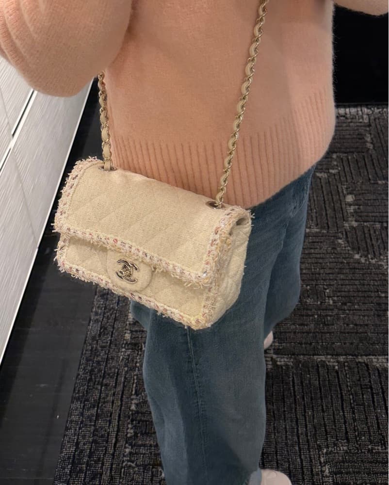 Chanel Cruise 25/26 Mini Flap - Image 1