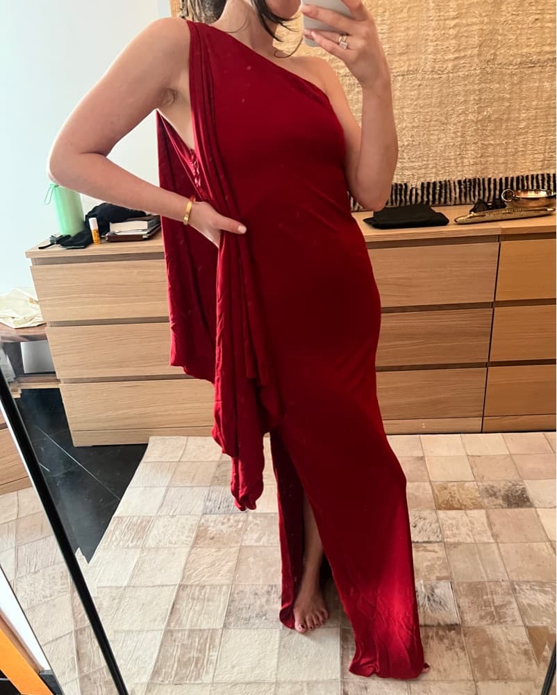Red Robert Rodriguez Dress  - Image 1