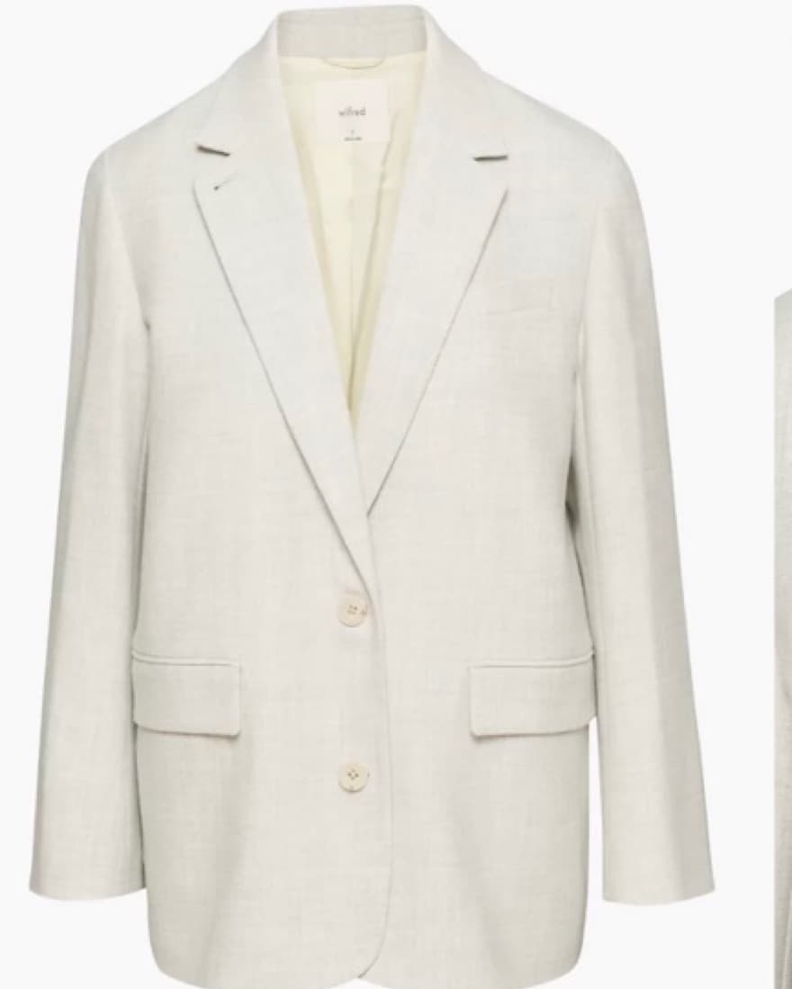 Wilfred Sophia Blazer - Aritzia  - Image 1