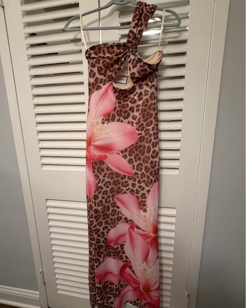 Revolve Maxi Leopard Dress - Image 3