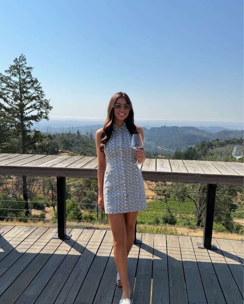 Guzio Isla Ginham Dress - Image 1