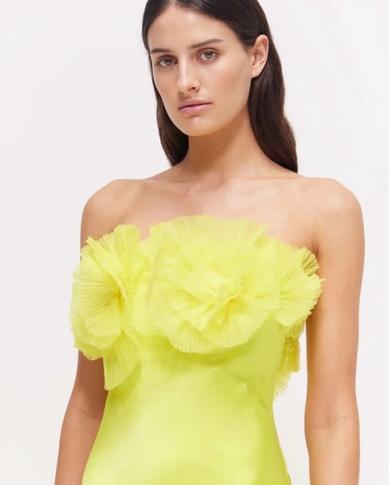 Rachel Gilbert Eyelar Dress - Image 3