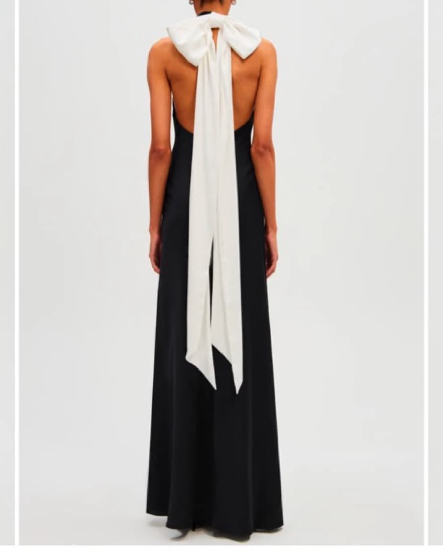 Misha Evianna Satin Gown - Image 4