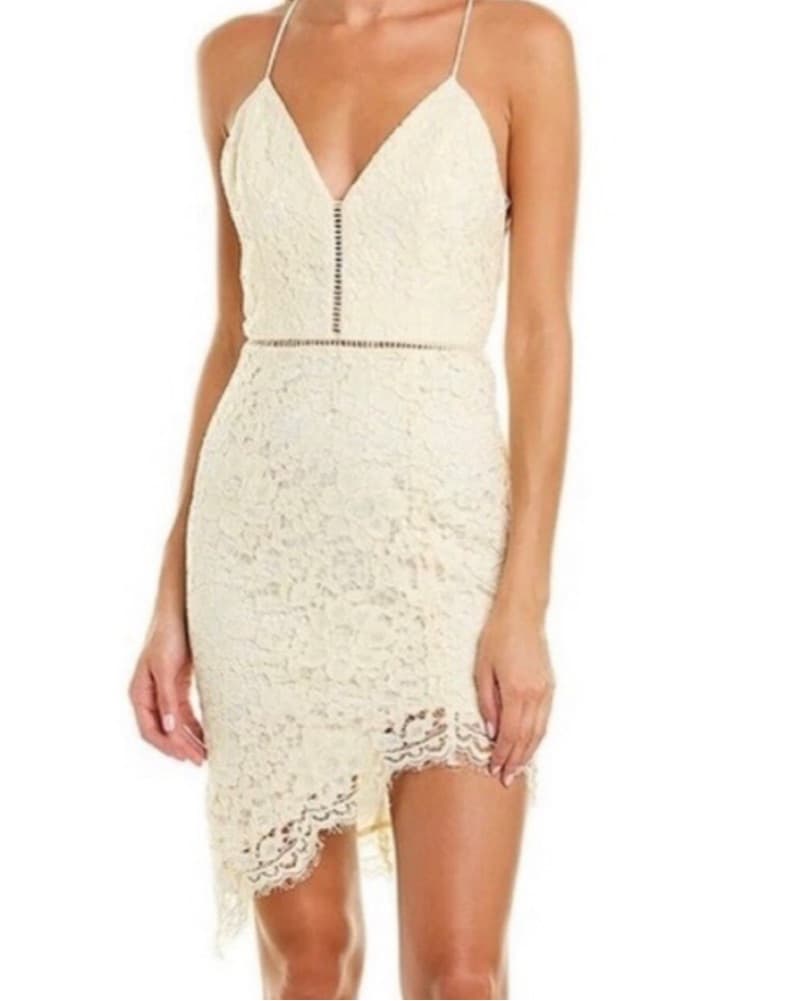 Revolve Lace Dress - Image 1